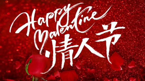 连云港如意云璟酒店 |   以海风佐玫瑰，敬这份美好的陪伴